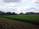 Ausblick-Bahndamm-14.jpg